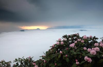 牛背山风景区,牛背山封山真实原因