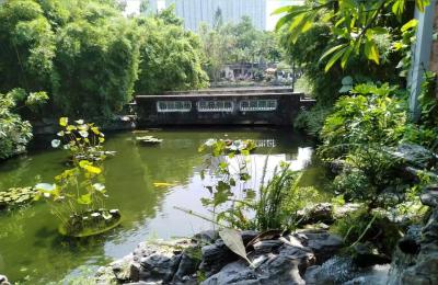 东莞市虎门镇有哪些好玩的旅游景点,虎门有哪些好玩的景点