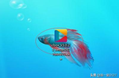 2022河南卫视武林风没有直播了吗,河南卫视节目时间表