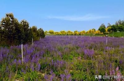 石家庄市区周边有哪些好玩的地方,一个人也可以享受旅行的乐趣