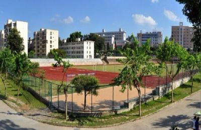 白沙中心小学,金沙洲有哪些私立小学