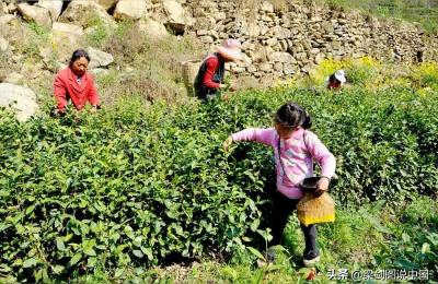 四季童话小镇,小乡村的风景有多美好