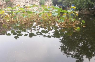 保定市水库排名,潘家口水下长城
