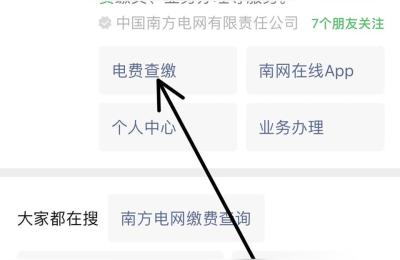 在网上交电费怎么查用电度数,广东省内抄表到户的用户