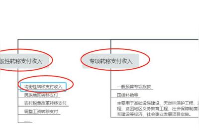 转移性收入是指什么,农民转移性收入指什么
