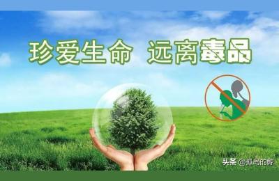 国际禁毒日是每年的几月几日,12月26日是禁毒日吗