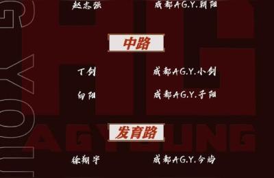 ag王者荣耀现役队员,AG战队队员资料