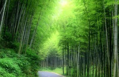 宜兴横山水库,江苏宜兴十大名菜