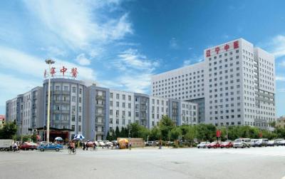 辽宁中医药大学是211大学还是985大学,沈阳中医不行