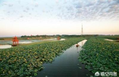 白洋淀荷花大观园,白洋淀都有哪些旅游景点不收费