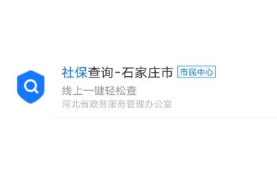 查询医疗保险,如何查询医疗保险费