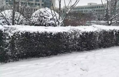 陕西旅游年卡,西安旅游的年卡都包含那些景点