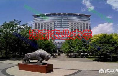 河南农业大学分数线,21年河南农业大学最低分数线