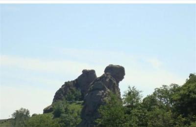 内蒙古大青山,内蒙古大青山寸草不生吗