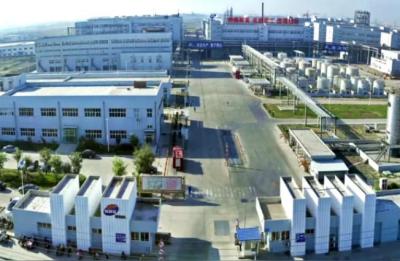 潍坊滨海国际学校,潍坊私立国际学校排名榜