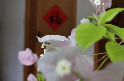 石家庄各区划分图,石家庄桥西区该不该改个名字