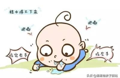 捕捉儿童的敏感期,儿童的发展敏感期具有什么特点