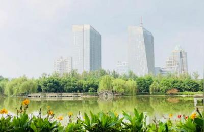 重庆美术学院,重庆巴南文化艺术学院怎么样