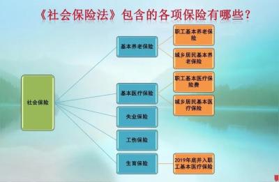 生育金领取流程,生育津贴领取条件及流程