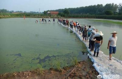 广东省阳江市天气,阳江海陵岛又现龙吸水奇观