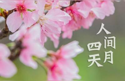 厦门单身公寓出租,在厦门哪家的长租公寓品质比较好