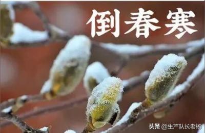你可知道小雨的降雨量为多少,今天阴有小雨