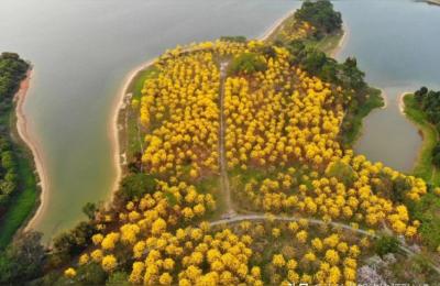 松山湖阳光沙滩,去东莞松山湖需要身份证吗