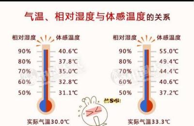 福州的天气预报,福州体感温度