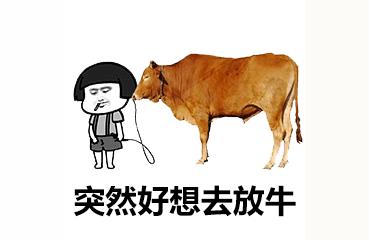 衡阳县房产政务网,怎么查衡阳房产备案价