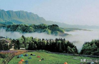 雅安野生动物园,雅安消费水平
