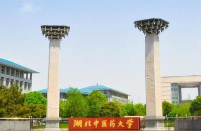 湖北省中医药大学,武汉中医学院是几本