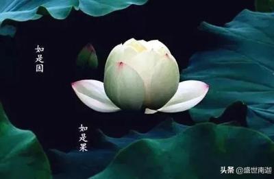 草莓星球来的人,另一个宇宙来的人阳子说神佛也有畏忌时