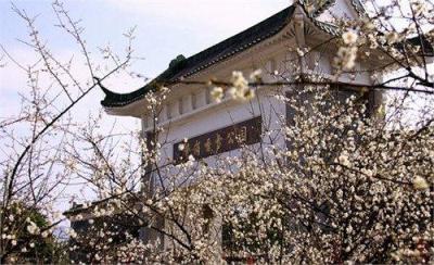 萝岗香雪公园,萝岗香雪公园开放时间