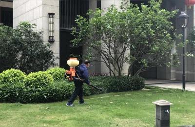 保利罗兰国际,保利罗兰国际三期开盘价