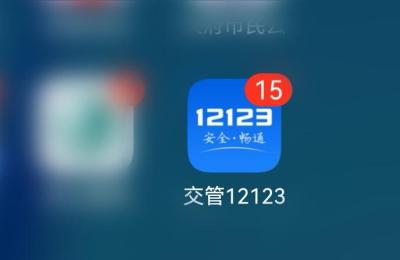 交罚单网上怎么交,12123违章缴纳罚款的步骤
