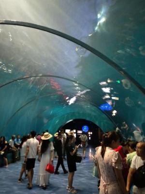 青岛海昌极地海洋世界可以带吃的吗,青岛和威海哪个海洋馆好