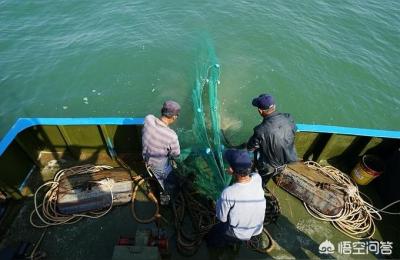 到日照如何玩才能玩的更嗨,日照刘家湾赶海园