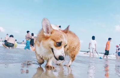 度假村哪里好玩,上思温泉度假村好玩吗