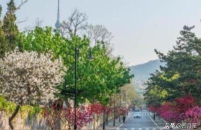青岛住宿攻略,青岛旅游住宿攻略