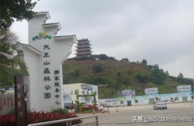 大王山森林公园,东莞清溪有什么地方好玩的
