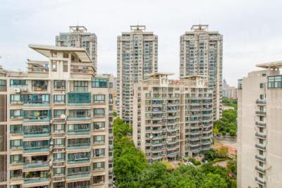 东方城市花园一期,眉山市东方城市花园对面是不是有个大中华演艺吧