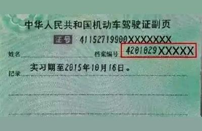 机动车驾驶证档案编号怎么查,12123怎么查档案编号