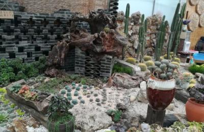 想做一个三亩地的花卉苗圃吗,成都哪里有丁香花