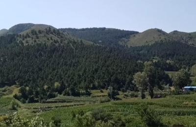 元宵节的活动,古代上元节有什么娱乐活动