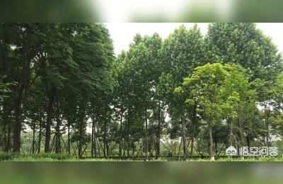 重庆市住房公积金提取有哪些流程,提取时间是多少