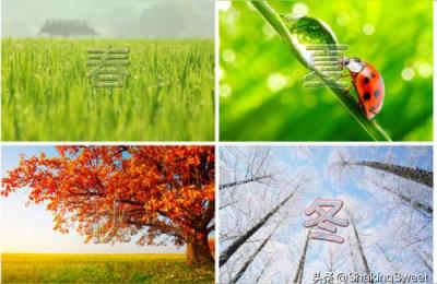 春夏秋冬分别是哪几个月份,八月份属于秋季吗