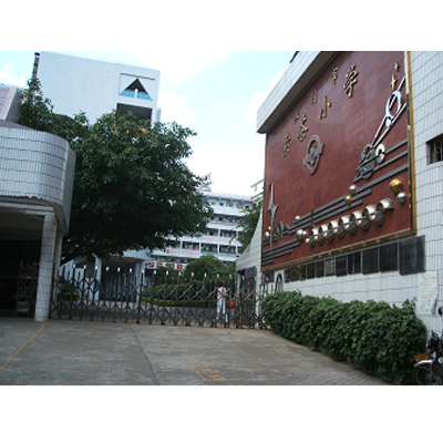 江门市紫茶小学,江门蓬江区重点小学排名