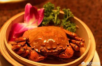 阳澄湖牌大闸蟹,它和固城湖大闸蟹有什么本质的区别