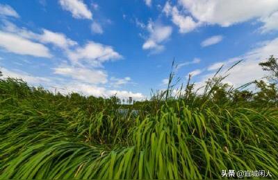 天福国家湿地公园,昆山花桥天福湿地公园的入口在哪里