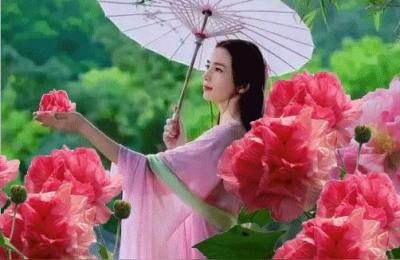 梅花几月份开,梅花在什么时候开